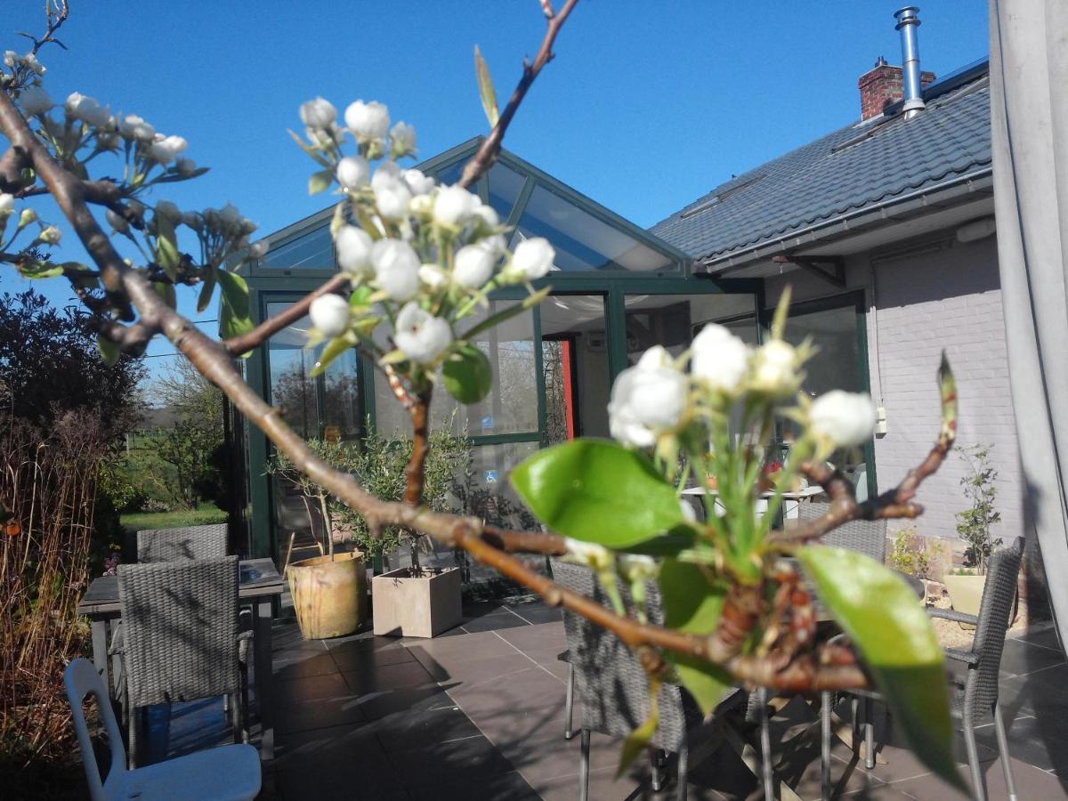 Pluimpapaver & Glamping Hotel Aarschot